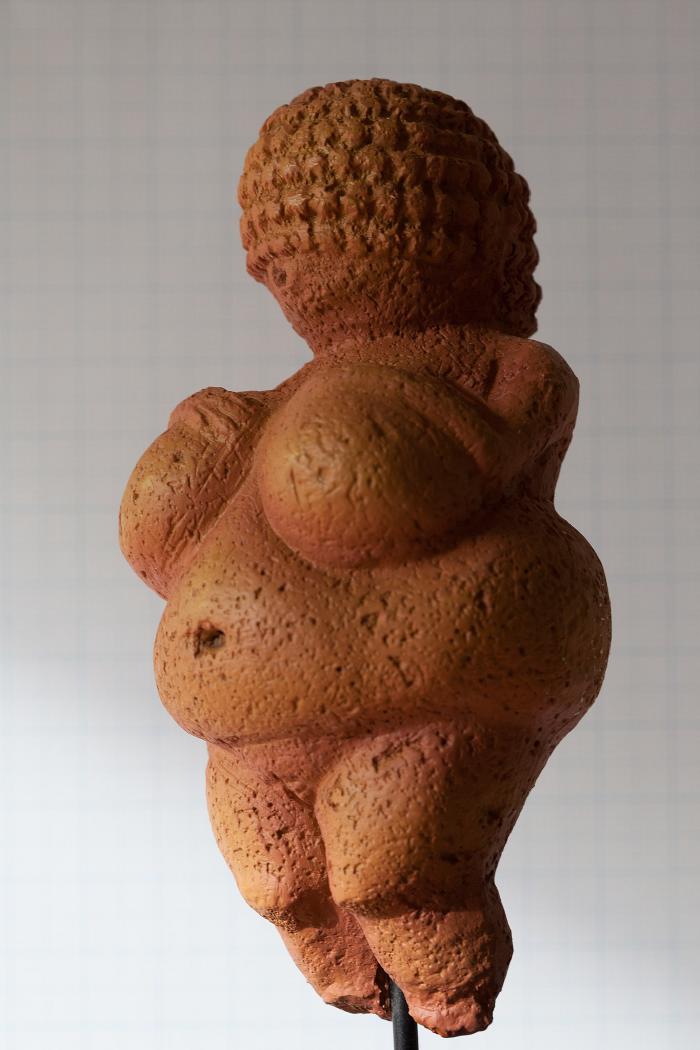 Wenus z Willendorfu, fotografia kopii